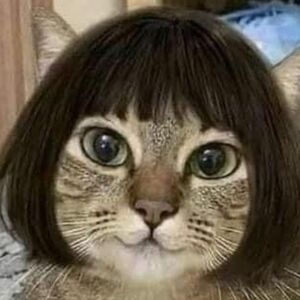 Meet your Posher, Julia